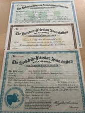 1929 holstein friesian for sale  Schwenksville