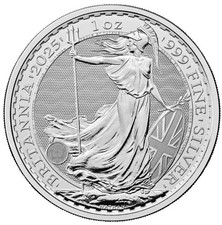 Silver Bullion for sale  NEWCASTLE