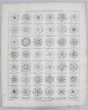 Rosetas decorativas antigas do século XIX LN Cottingham estampa arquitetônica LV comprar usado  Enviando para Brazil