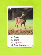 Italian card no. d'occasion  Expédié en Belgium