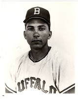 FOTO ORIGINAL VINTAGE JOHNNY BENCH BUFFALO BISONS TEAM EMITIDA 8X10 REDS HOF comprar usado  Enviando para Brazil