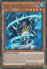 Requin ur brol d'occasion  Argenteuil