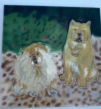 Chow chow dogs for sale  Lenoir City