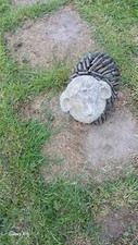 Slate stone sheep for sale  LEICESTER