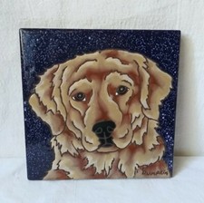 Golden lab retriever for sale  Saint Petersburg