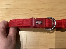 Hunde halsband trixie gebraucht kaufen  Calbe (Saale)