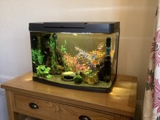 Love fish panorama for sale  HYTHE