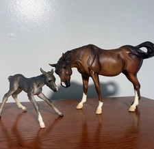 Htf mare foal for sale  Christiansburg