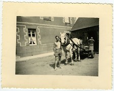 Photo ancienne cheval d'occasion  Paris XI