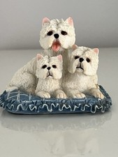 Leonardo westie two for sale  HARTLEPOOL