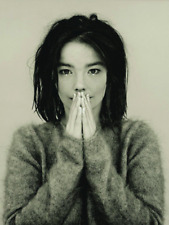 Bjork poster print for sale  SHEFFIELD