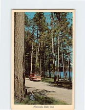 Postcard norway red for sale  Almond