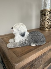 sandicast dog for sale sandicast dog for sale  KILWINNING