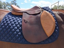 Pessoa rodrigo for sale  Billings