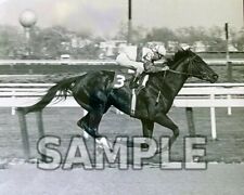 8x10 photo ruffian for sale  Holmes