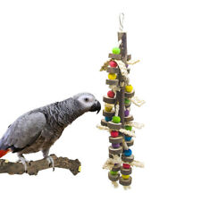 Giant macaw parrot for sale  HATFIELD