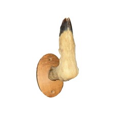Vtg deer hoof for sale  Cranberry Township