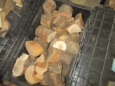 Seasoned apple wood for sale  Southaven