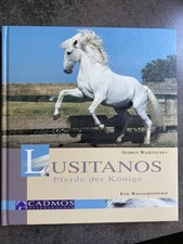 Lusitanos pferde könige gebraucht kaufen  Rüsselsheim am Main