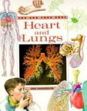 Heart lungs body for sale  USA