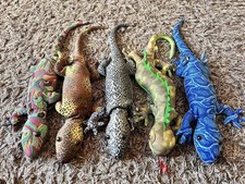 Large sand lizards for sale  SALISBURY