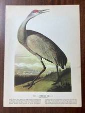Vintage 1940 audubon for sale  Port Orchard