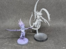 Warhammer heralds slaanesh for sale  Denton