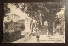 1920ca avellino rampa usato  Solopaca