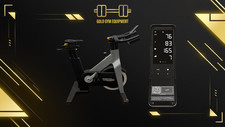 Technogym bike cyclette usato  Pordenone
