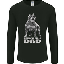 American bully dad for sale  COVENTRY