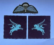 Insigne brevet parachutiste d'occasion Insigne brevet parachutiste d'occasion  Caen