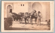 Cdv 1870 horse d'occasion  Expédié en Belgium