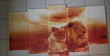 Xxl bild löwen gebraucht kaufen  Oberhausen