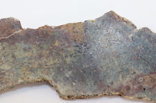 Sauropoden knochen jura gebraucht kaufen  Weeze