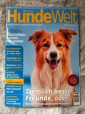 Hunde 2024 hunde gebraucht kaufen Hunde 2024 hunde gebraucht kaufen  Magdeburg
