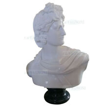 Busto apollo vero usato  San Benedetto del Tronto