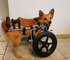 Hunderollstuhl eddie wheels gebraucht kaufen  Hagen