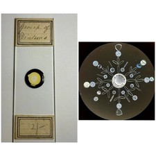 Antique diatom microscope for sale Antique diatom microscope for sale  LANCING