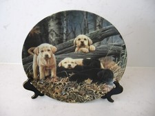 labrador dog plates for sale labrador dog plates for sale WELLINGBOROUGH