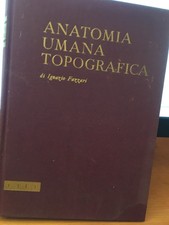 Anatomia umana topografica usato  Firenze