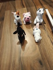 Cats dogs minis gebraucht kaufen  Großdubrau
