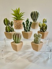 Mini artificial cactus for sale  Burleson