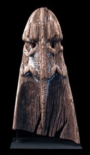 Ancienne proue pirogue d'occasion  Perros-Guirec