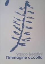 Vasco bendini. immagine usato  Italia