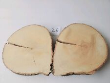 Int26 deko baumscheibe gebraucht kaufen  Meiningen