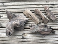 Pieces natural driftwood for sale  BRIGHTON