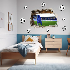 Smashed wall premier for sale  HERTFORD