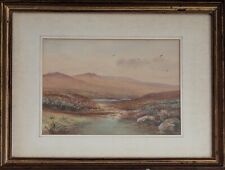 Frederick john widgery for sale  PENZANCE