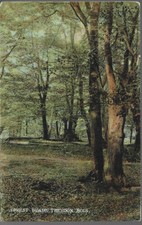 Scarce old postcard for sale  UK