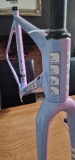 Rare custom painted for sale  MORPETH